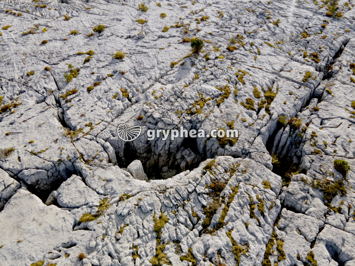 Lapiaz - Parmelan (vue aérienne) - gryphea.com